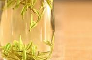 绿茶的香气之谜：花果香、豆香等不同味道的来源