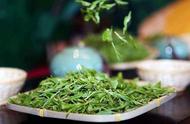 喝茶养生，但春茶真的等于农药吗？