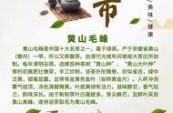 黄山毛峰：中国茶文化的瑰宝