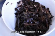 乌龙茶产地：揭秘茶叶知识