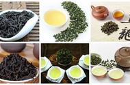 探索中国茶文化：青茶篇