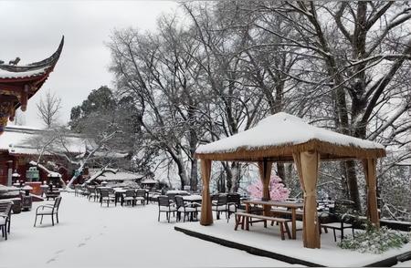 2024年首场雪降临四川蒙顶山，围炉煮茶与汉服拍照成为新体验