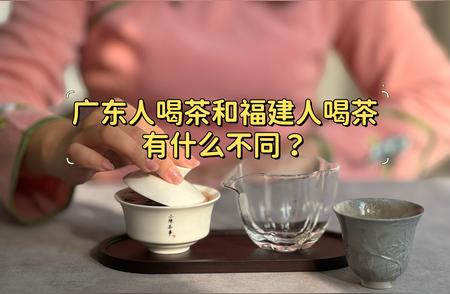 广东与福建的茶文化差异：从茶具配置中一窥究竟
