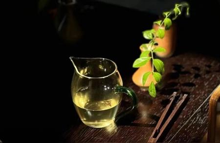春茶季丨揭秘春茶的奥秘，你准备好了吗？
