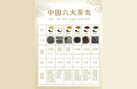 茶叶大观：品鉴知名品种的完全指南