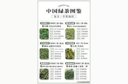 中国绿茶大全：收藏好，慢慢品味，增长见识