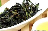 探索青茶：品质特征详解