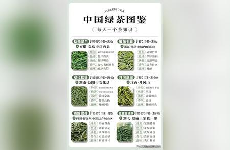 中国绿茶大全：收藏版，增长茶知识