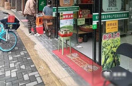 杭州西湖龙井新茶上市，抢先了解最新报价！
