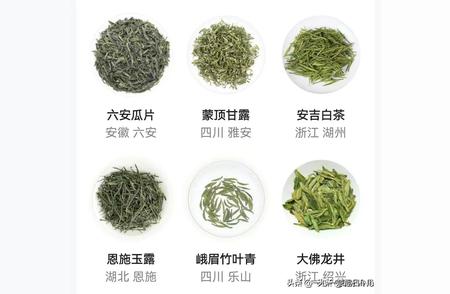 茶叶大全：品种名称与实物图鉴