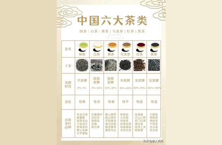 茶的百科全书：了解六大茶系与茶艺