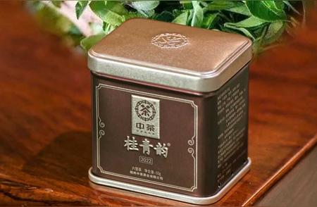 探索桂青韵：品味六堡茶的上等原料之香