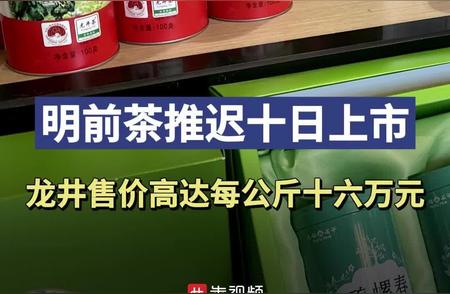 龙井明前茶上市延期十天，价格飙升至每公斤16万
