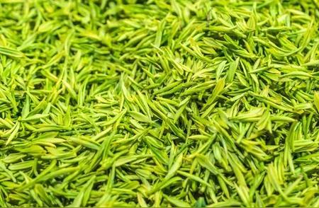 舒城小兰花：绿茶采摘与泡制的艺术