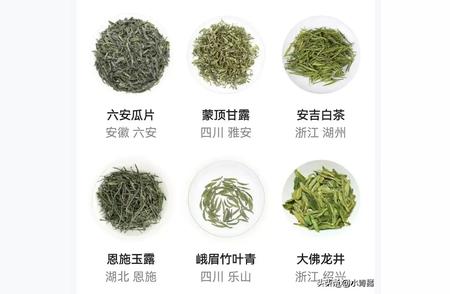 茶叶大全：品种介绍与实物图鉴