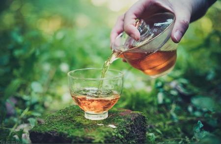 探秘茶叶世界：红茶与绿茶差异全解析