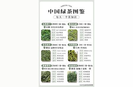 探索中国绿茶：一篇全面的指南
