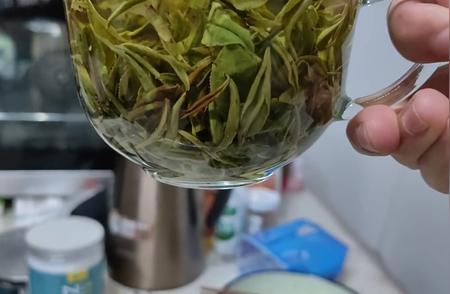 茶叶品鉴：一场味觉的较量