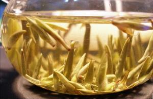黄茶百科，溪黄茶功效作用