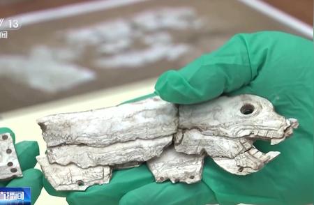 揭秘红山文化早期龙形蚌饰：探寻六千三百年前的神秘艺术