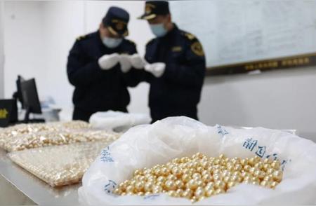 深圳湾海关截获价值362万珍珠，背后有何隐情？