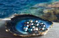 探索大溪地珍珠：来自太平洋的纯净宝藏