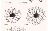 国画新手必学：菊花绘画教程