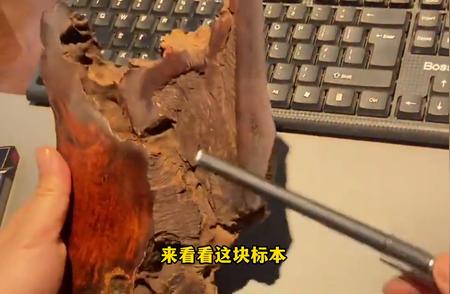 揭秘紫檀树长寿之谜：植物抗毒素的神奇力量