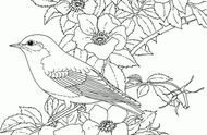 探索经典：工笔白描花鸟图的魅力与临摹技巧