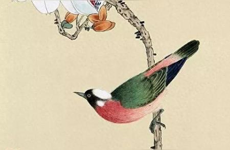 探寻中国传统艺术：高清工笔花鸟图集赏析
