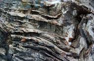深度解析：木化石与褶皱岩的独特之处