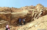 揭秘宣化木化石：一场地质奇观的探索之旅