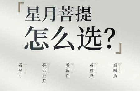 新手必学：如何挑选优质星月菩提