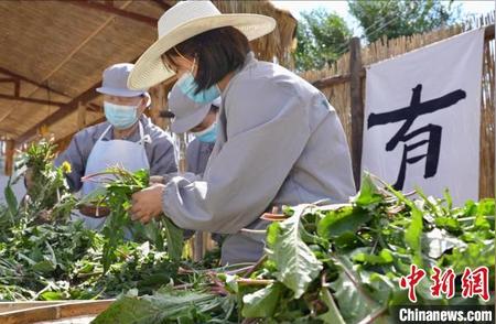 甘肃会宁蒲公英产业：昔日救命菜今朝健康茶