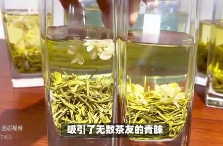 揭秘茉莉花茶的归属类别，带你走进茶的世界