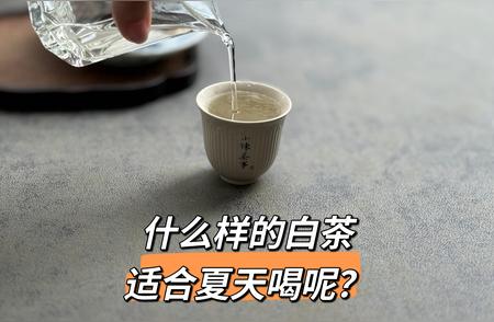 老白茶的独特魅力：夏日品茗之选