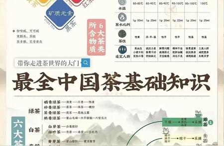 中国茶叶分类与挑选技巧详解