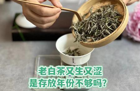 揭秘老白茶口感生涩之谜，茶客来解答