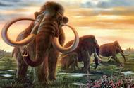 万年冻土下的猛犸象：揭示史前巨兽的秘密