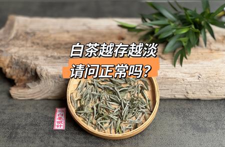 白茶味道变化解析：1-2年后品质如何变化？