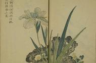《芥子园画谱》之十六：花卉草虫下卷精彩解析