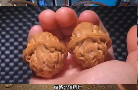 揭秘蓟县粗筋虎头王核桃的独特魅力