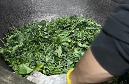 【彩云汇】茶叶生产迈入标准化新时代
