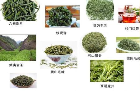 中国十大名茶全面解析：品种、产地与特点一览