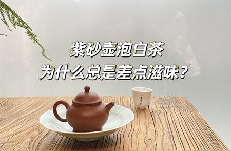 紫砂壶与盖碗泡白茶：哪个更值？
