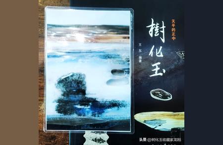 树化玉旗舰：神秘宝石背后的故事