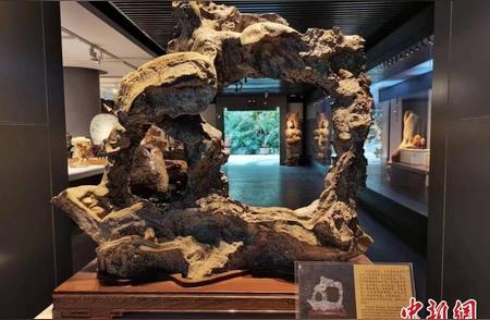 甘肃肃州'万石境'半价迎客，展示中西知名观赏石