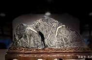 宋大伯拥有一块7亿年前的稀有灵璧石，其鉴定价值超过1亿