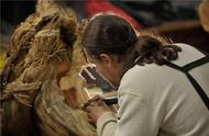 广西男子创作15米根雕雄狮，富商出价300万被拒，如今如何处置