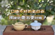 老白茶口感不佳？试试用紫砂壶泡，茶掌柜揭秘套路